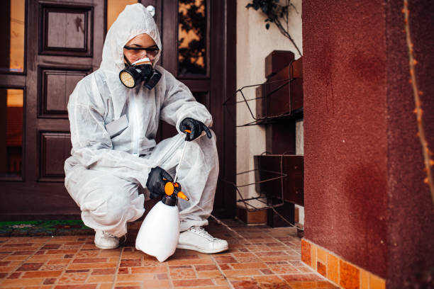 Reliable Wasp Removal contractor in Manchester, NH by Show Me Pest Control